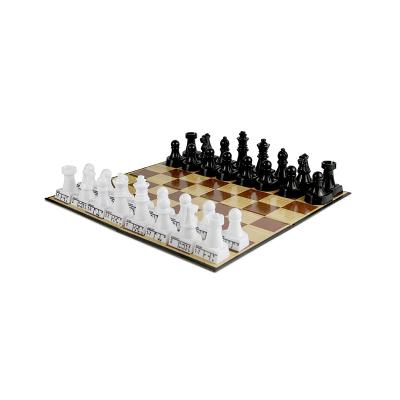 China Portable Chess Game Magnetic Chess Set Set 2 in 1 Western Chess Indoor Entertainment Hot Chess for sale