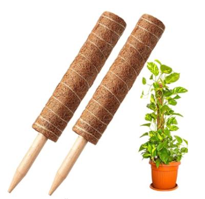 China Extra Plant Support Compressed Coir Pith Coir Plugs Decorative Garden Plant Poles Moss Pole for sale