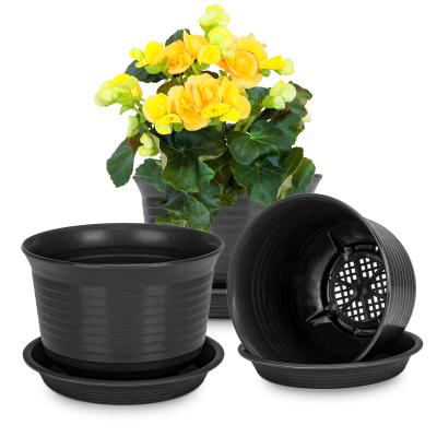 China 6inch Decorative Anti-sun And Anti-fall Plant Pots , Garden Ceramic Azaleas In Small Flower Pots For Indoor Plants for sale