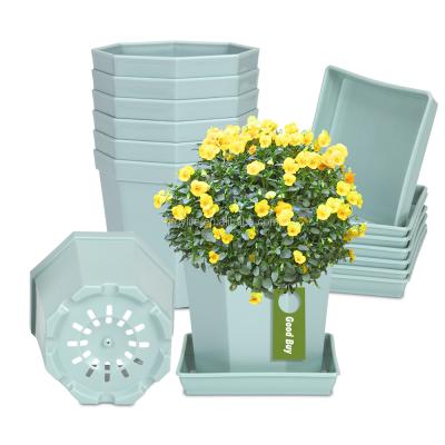 China Indoor Cheap Target Plant Pots From Europe , Biodegradable Yellow Face Plant Pot And Holding Small Pots For Plants for sale