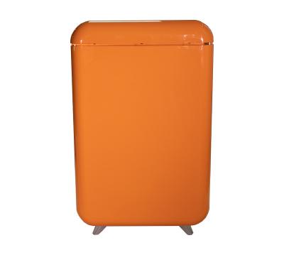 China Because-45F COMPRESSOR Retro Fridge Logo Mini Refrigerator 32L Customizable Color Mini Refrigerator for sale