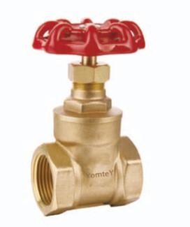 China Yomtey Brass gate valve for sale