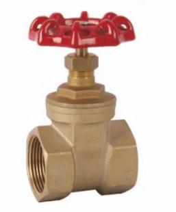 China Yomtey（Lead free）Brass gate valve for sale