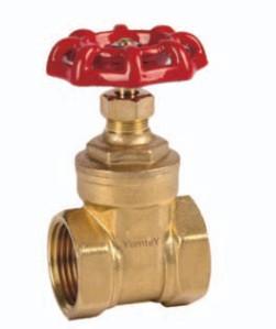 China Yomtey Brass  gate valve for sale