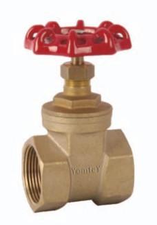 China Yomtey Brass gate valve for sale