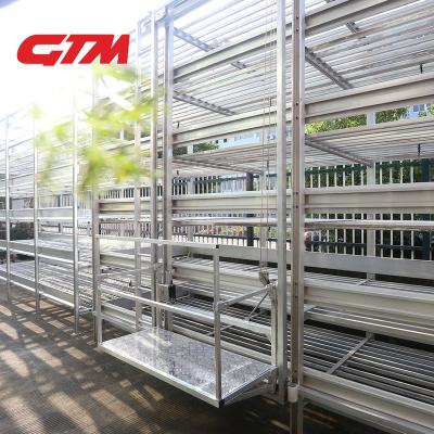 China Plant Mushroom Planting Greenhouse Shelving Shelving for sale