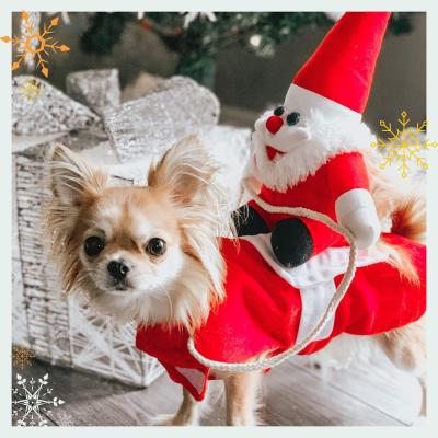 China Viable New Design New Design Dog Clothes Pet Accessories Pet Wear Christmas Pet Clothes for sale