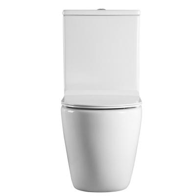 China Double-Flow Best Selling Sanitary Ware Two-Piece Sanitary Ware Lavatory Argentina Wc Inodoros Ceramic Toilet for sale