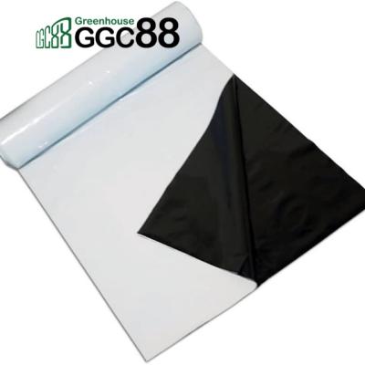 China 6mil to 25mil UV Protected Black And White PE Light Proof Greenhouse Film Panda Film for sale