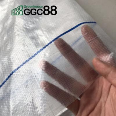 China Transparent PE mesh woven fabric pe tarpaulin sheet for greenhouse 130g for sale