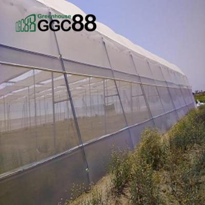 China PE Greenhouse Insect Net High Quality Long Life Span for sale