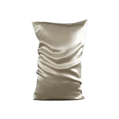 China Gerine standard champagne silk hair and skin beauty queen 19mm non-toxic silk pillowcase for sale