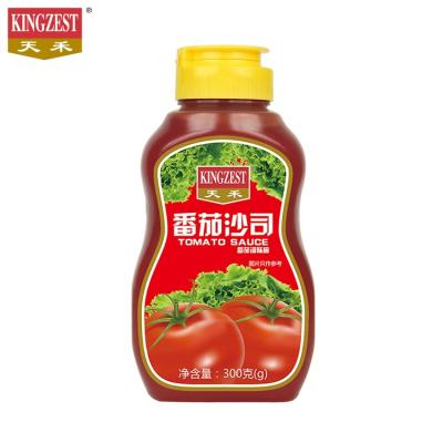 China China Zhuhai Manufacture Good Price China Zhuhai Style Side Dish Sauce Different Sachet 300g PP Specification 10g Bottle 1kg Bagged Purity Tomato Sauce for sale