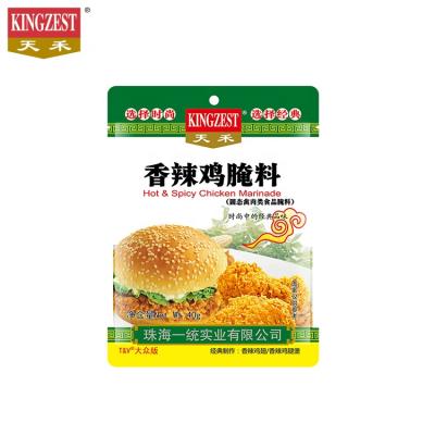 China Hot Ect Barbecue Grill Fried Chicken Seasoning Marinade Roasted And Spicy Powder for sale