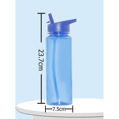 China 2021 New Arrival Sustainable Plastic Tritan 750ml Outdoor Sports Straw Bottle With Handle Riding Water Bottle for sale