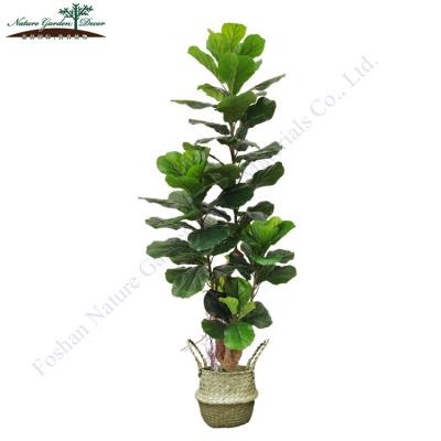 China Environmentally Friendly Faux Green Tall Plastic Fiddle Fig Tree House Indoor Plants Decoration for sale