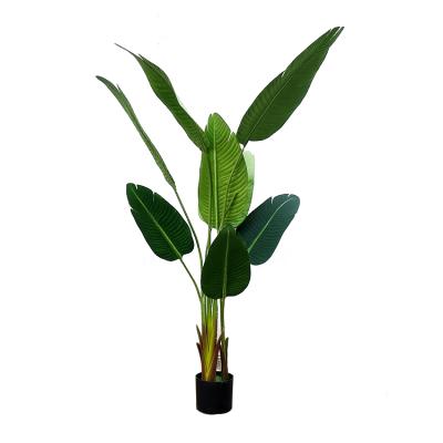 China Environmental Friendly Hot Selling Plants Artificial Traveler Banana Tree For Garden Landscape for sale