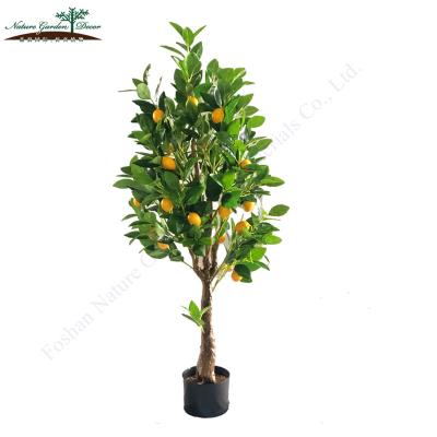 China Environmental Friendly Ornamental Hotel , Restaurant Fruit Trees For Sale Artificial Lemon Plant for sale