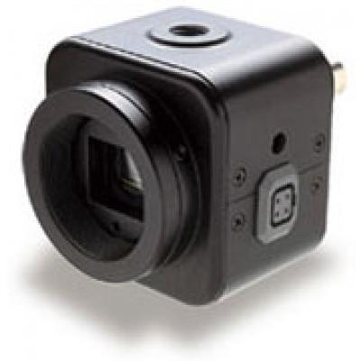 China 570TVL Watec CCD Camera Module for sale