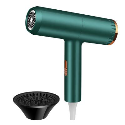 China Quick-drying 700w Ionic Hair Care, Strong Wind and Quiet Design Ion Hair Dryer for sale