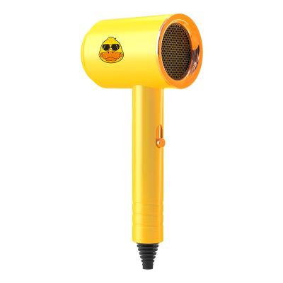 China Ionic Hot and Cold Dry Hair Ion Electric Hair Dryer Negative Little Duck Professional Strong Wind Salon Hair Dryer for sale