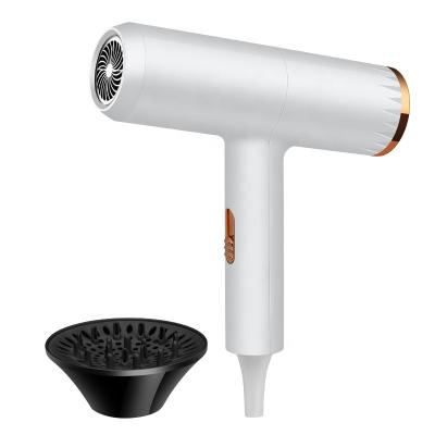 China Quick-drying 700w Ionic Hair Care, Strong Wind and Quiet Design Ion Hair Dryer for sale