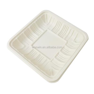 China Disposable Hot Sale Kitchen Biodegradable Tray Square Disposable Plastic Fruit Meat Tray for sale