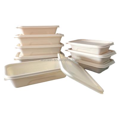 China Difference Size Disposable Hot Sale Takeaway Food Packing Boxes Air Tight Food Container With Lid for sale