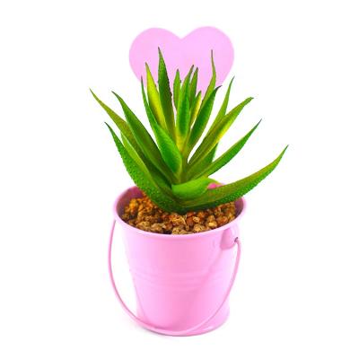 China Beautiful colorful beautiful manufacturers produce iron flower pots for decorative potted artificial succulent plants and simulation aloe plants for sale