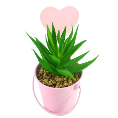 China Beautiful Colorful Beautiful Colorful Manufacturers Produce Decorative Iron Flower Pots Potted Artificial Succulent Plants for sale