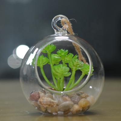 China Modern Round Mini Potted Plant Plastic Sheer Succulent Glass Bottles Artificial Succulents Plants In Pots for sale