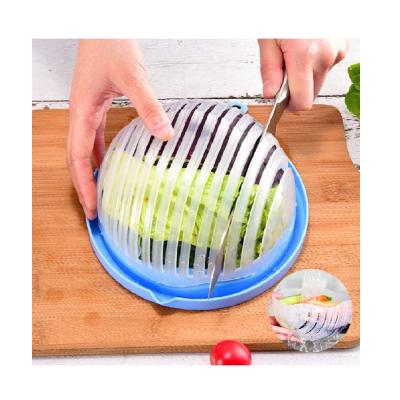 China Lotuz Amazon Sustainable Hot Selling Fruit Vegetable Salad Cutter Creative Plastic Bowl With Drain for sale