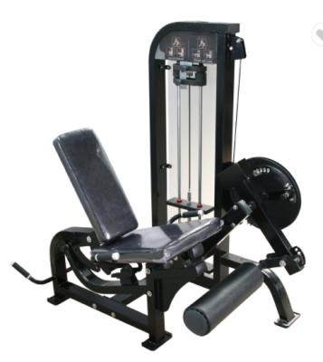 China Commercial Use Fitness Equipment Gym Leg Curl/Heavy Duty Commercial Leg Extender Machine for sale