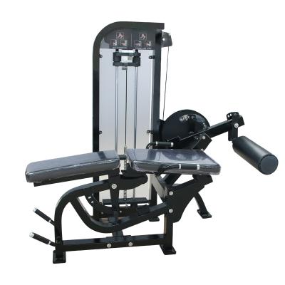 China Professional Commercial Fitness Equipment Gym Factory Direct Sales Use Leg Curl and Extender Prone Machine for Body Building for sale