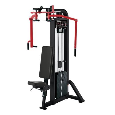 China Commercial Use Factory Direct Sales Gym Equipment Row / Back Delt Machine For Gym Center for sale