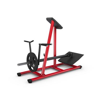 China Commercial Use Professional Back Trainer Machine Gym 80 Strength Training LOW ROW Commercial Gym Equipment For Sale for sale