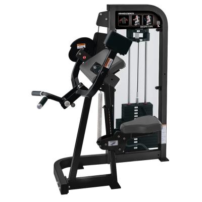 China Wholesale Commercial Use Gym Fitness Equipment Biceps Trainer Machine Biceps Curl For Bodybuilding for sale