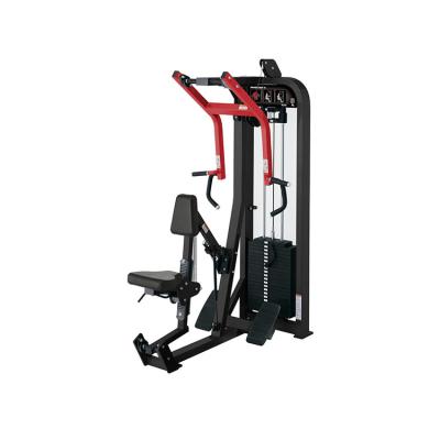 China High Quality Commercial Use Back Muscle Trainer Row /Rear Delt Bodybuilding Equipment For Gym Center for sale