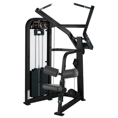 China High Quality Commercial Use Gym Fitness Strength Training Gym Fitness Lower Back Muscle Machine For Gym Center for sale