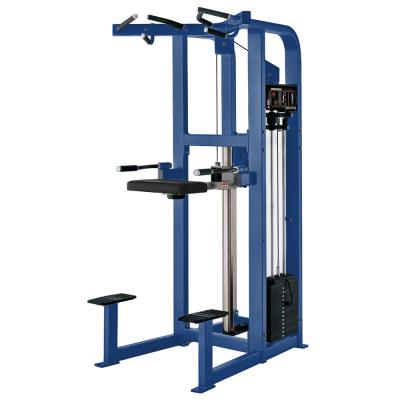 China Commercial Gym Popular Bodybuilding Exercise Machine Use Aid Dip Chin Gym Equipment For Sale for sale