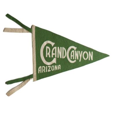 China Custom Printing Healthcare Institutes Souvenir Felt Pennant Flags Wool Felt Flag for sale