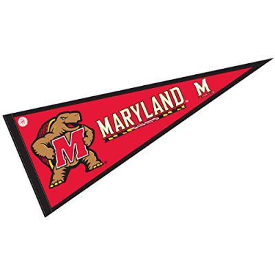 China Health Care Institutes Embroidered Pennant For Advertising Agency Custom Felt Flag Flags for sale