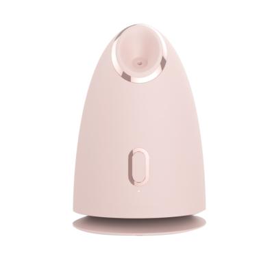 China Mini Nano Facial Steamer Humidifier Deep Cleansing Skin Moisturizing Steam Mist Jet Facial Steamer for sale