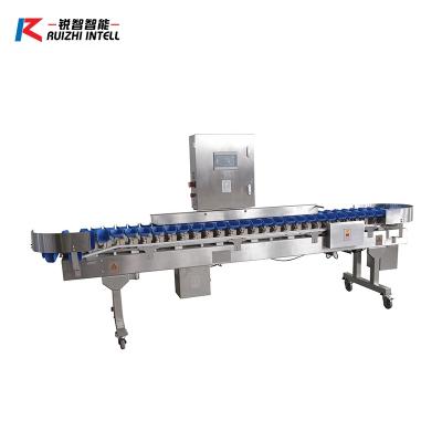 China Chicken Crab Shrimp Seafood Sorter for Fish Weight Accurate Sorting Automatic Grading Machine for sale