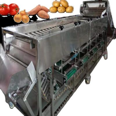 China food & Beverage Factory Potatoes Onions Tomatoes Sweet Potatoes Dimension Sorting Roll Grading Machine for sale