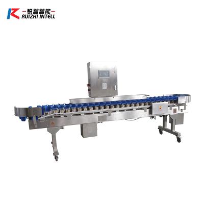 China Vegetable Processing Plant Commercial Passion Fruit Edible Passion Fruit Processing Avocado Onion Dimension Sorter Meat Processing Grading Machines for sale