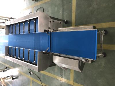 China Machinery Repair Shops Fish Scale Automatic Chicken Net Conveyor for sale