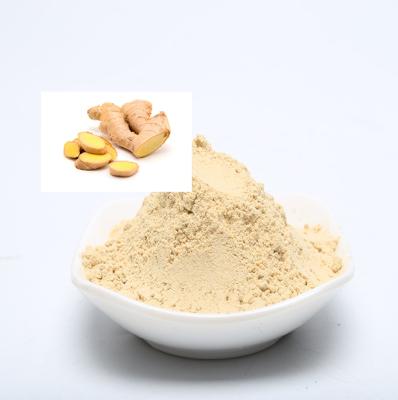 China Best Price Dried Organic Yellow Ginger Extract Root Powder for sale