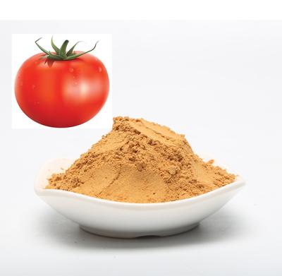 China Spray Dried Tomato Powder for sale