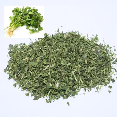 China Wholesale Dried Best Seller High Quality Natural Dried Parsley Coriander Leaves for sale